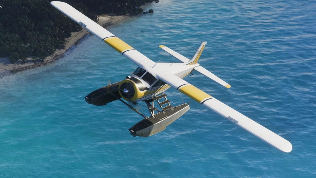 Dodo plane